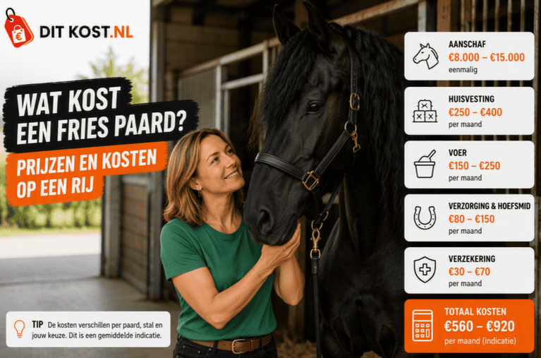 Wat kost een Fries paard? Overzichtsafbeelding met een Fries paard in een stalomgeving en een kostenindicatie voor aanschaf, huisvesting, voer, verzorging en verzekering.