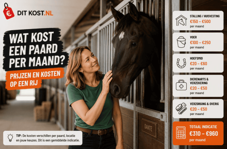 Wat kost een paard per maand? Overzichtsafbeelding met een paard in een stal en een kostenindicatie voor stalling, voer, hoefsmid, dierenarts en verzorging.